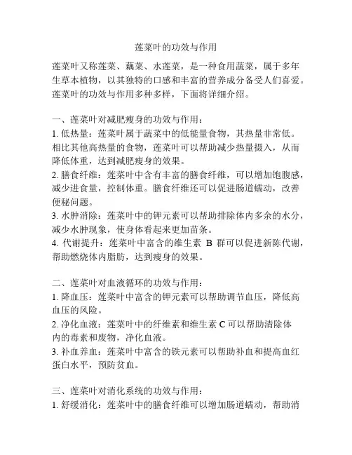莲菜叶的功效与作用