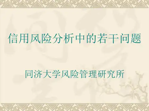 信用风险分析中的若干问题.pptx