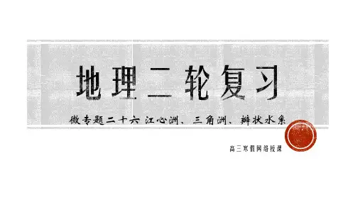 微专题二十六 三角洲、江心洲、辫状水系