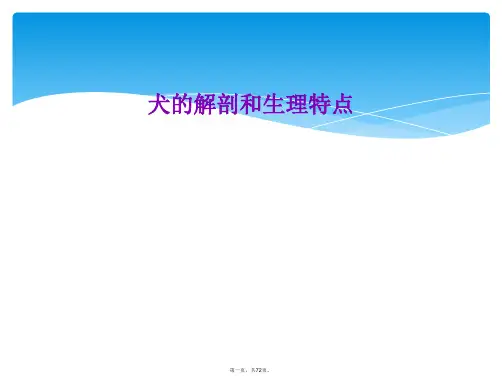 犬的解剖和生理特点