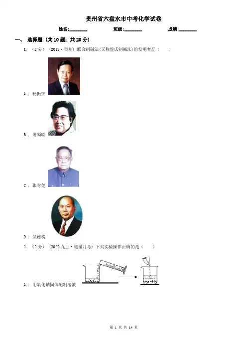 贵州省六盘水市中考化学试卷 