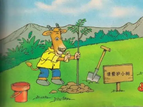 一片树叶课件张丽