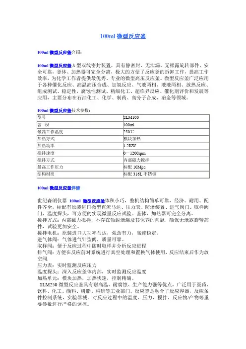 100ml微型反应釜