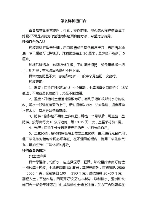 怎么样种植百合