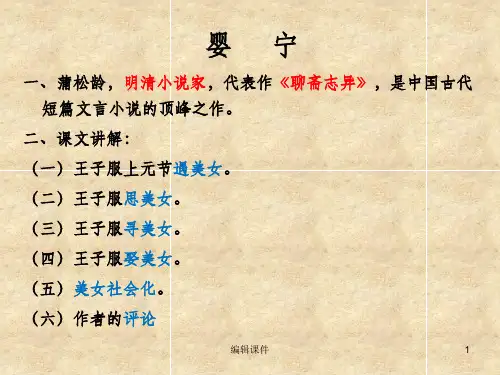 自考大学语文小说ppt课件