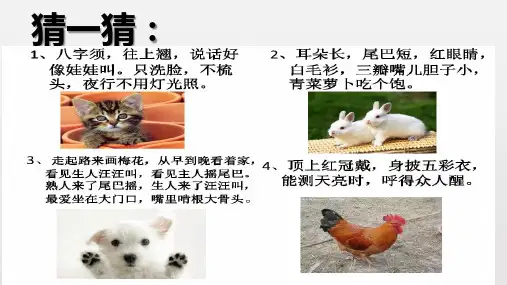 [人教部编版]四年级《习作：我的动物朋友》PPT精品课件1(统编版)