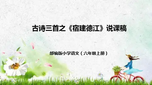 部编版小学语文六年级上册3古诗三首之《宿建德江》说课稿(附教学反思、板书)课件(共41张PPT)