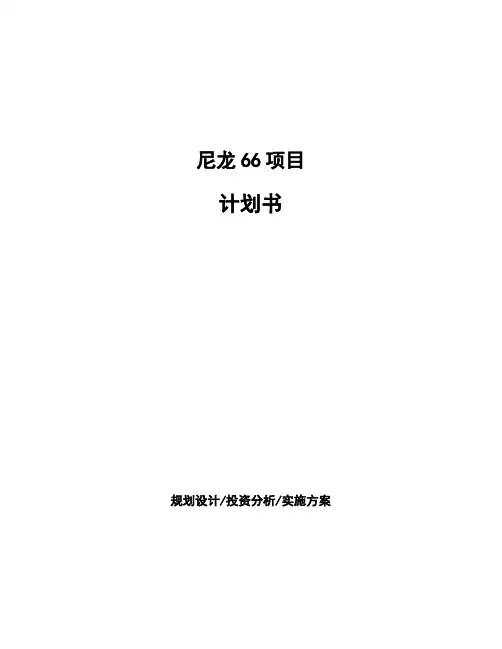 尼龙66项目计划书
