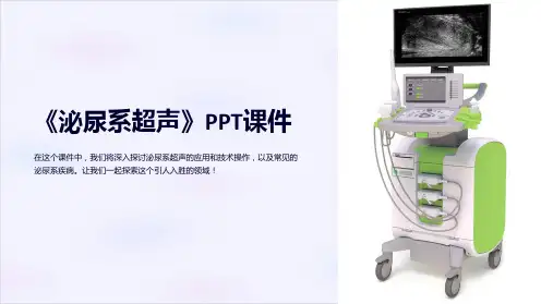 《泌尿系超声》课件