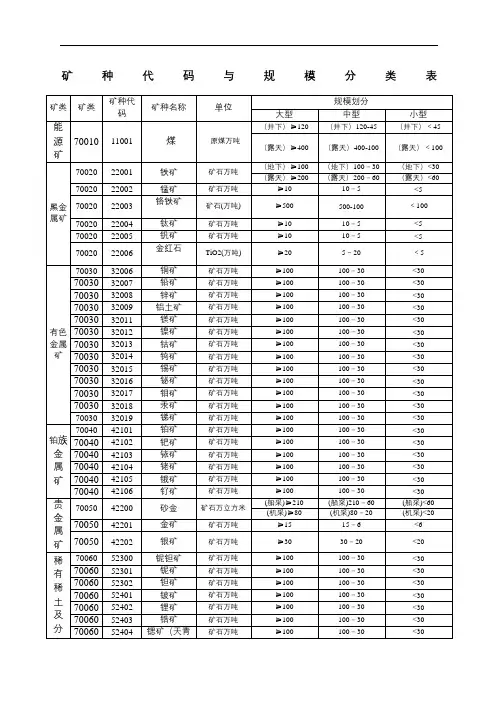 矿种代码与规模分类表