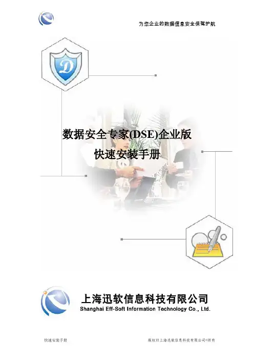 DSE快速安装手册