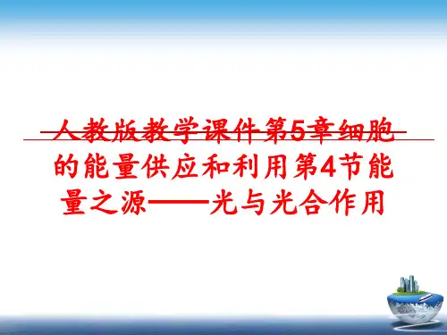 最新人教版教学课件第5章细胞的能量供应和利用第4节能量之源──光与光合作用