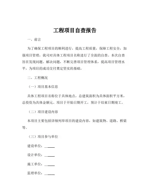 工程项目自查报告