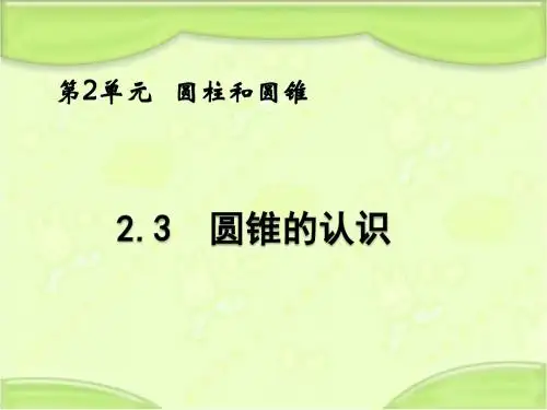 新西师大版六年级数学下册 二单元第3课时圆锥的认识 课件