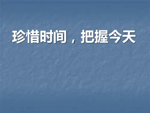 《珍惜时间,把握今天》PPT(完美版)