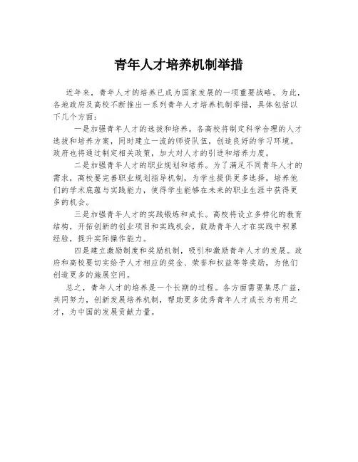 青年人才培养机制举措 2