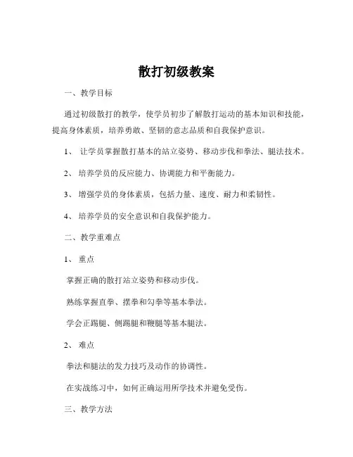 散打初级教案