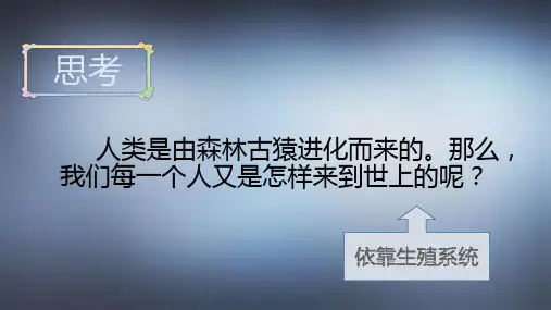 人教版生物七年级下册《人的生殖》优质课件(19张ppt)
