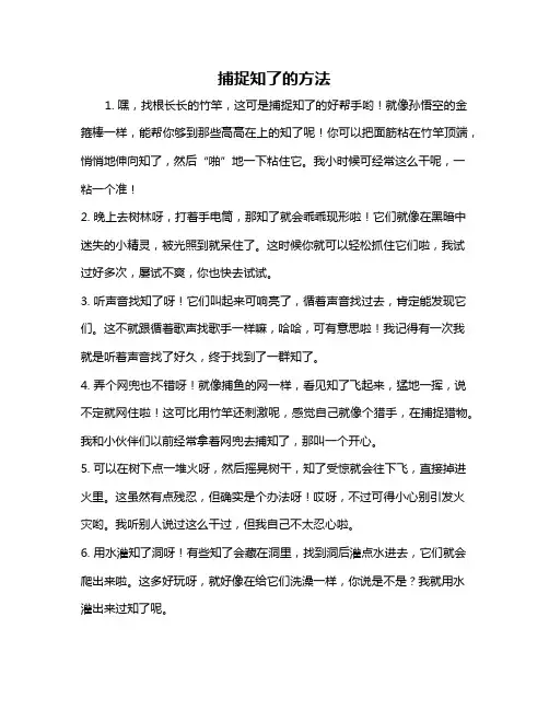 捕捉知了的方法