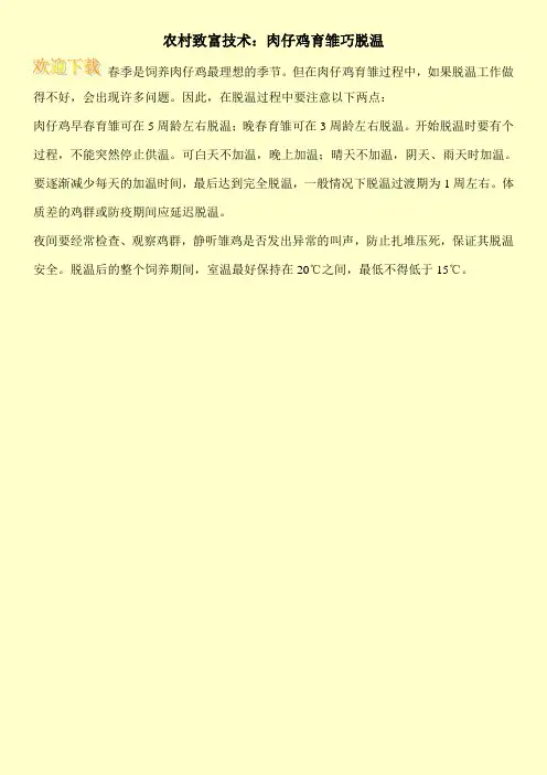 农村致富技术：肉仔鸡育雏巧脱温