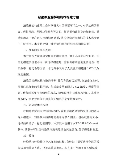 贴壁细胞稳转细胞株构建方案