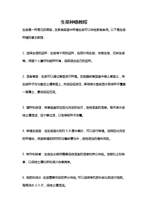 生菜种植教程