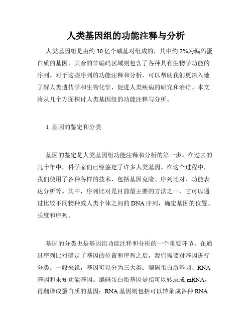 人类基因组的功能注释与分析