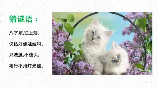 部编版语文七年级上册第16课《猫》课件