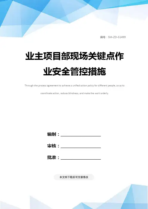 业主项目部现场关键点作业安全管控措施
