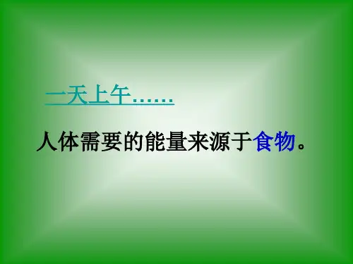 初中生物_实验：探究不同食物的热价教学课件设计