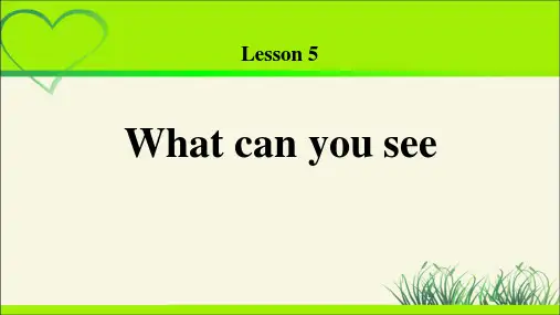 Lesson 5 What can you see示范课教学课件【小学英语四年级上册(科普)】