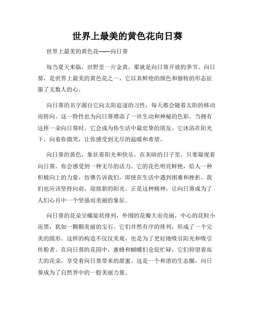 世界上最美的黄色花向日葵