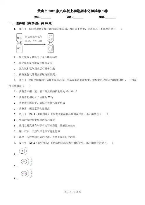黄山市2020版九年级上学期期末化学试卷C卷