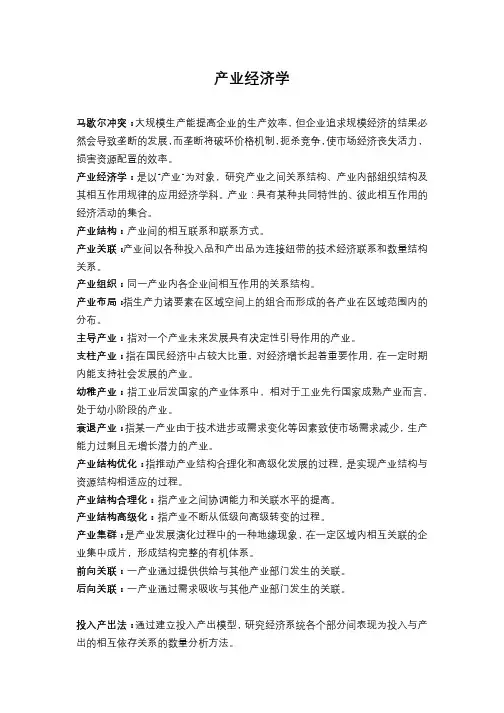 产业经济学名词解释(精简)