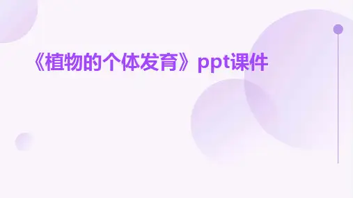 《植物的个体发育》课件