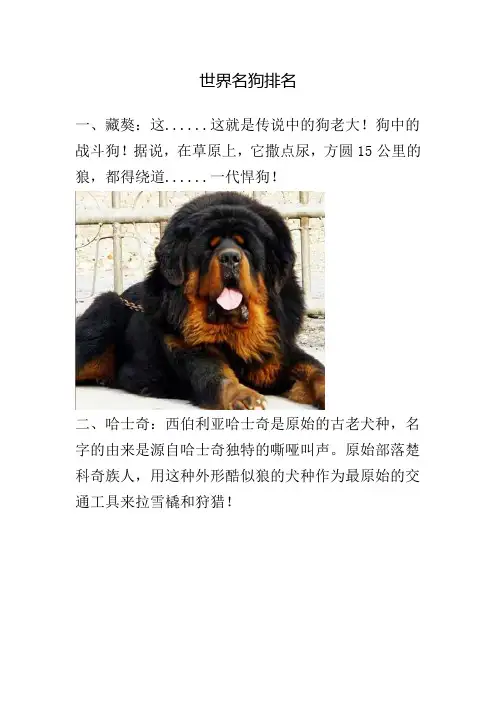 世界狗狗排名