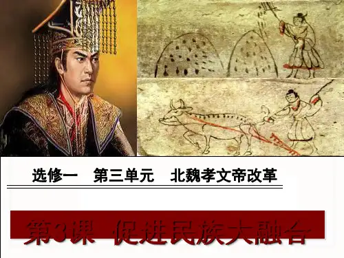 人教版高中历史选修一促进民族大融合课件24张