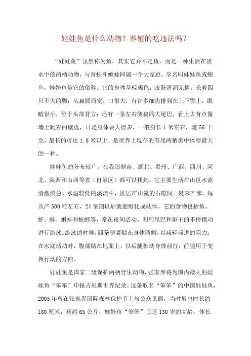 娃娃鱼是什么动物？养殖的吃违法吗？