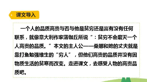 部编版语文六年级上册13穷人