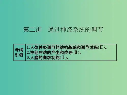 高考生物一轮总复习 第八单元 第二讲 通过神经系统的调节课件