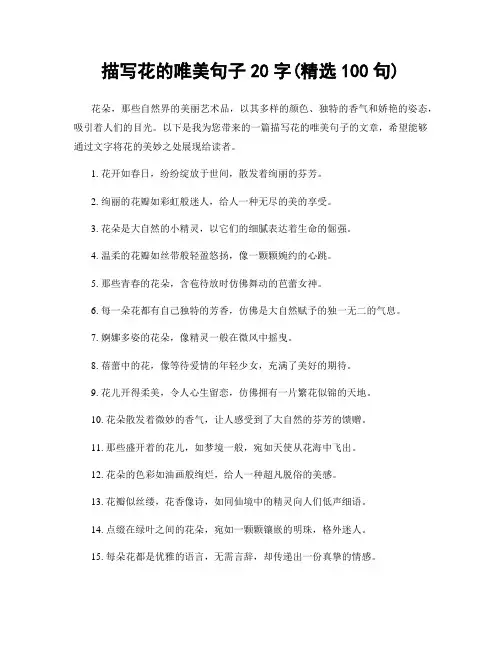 描写花的唯美句子20字(精选100句)