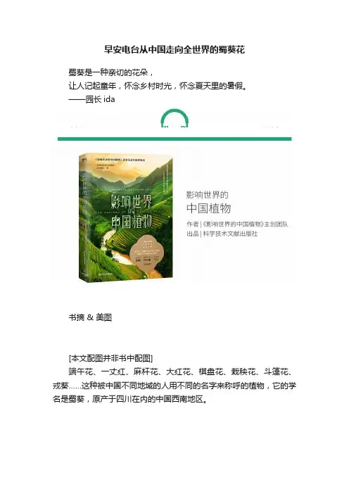 早安电台从中国走向全世界的蜀葵花