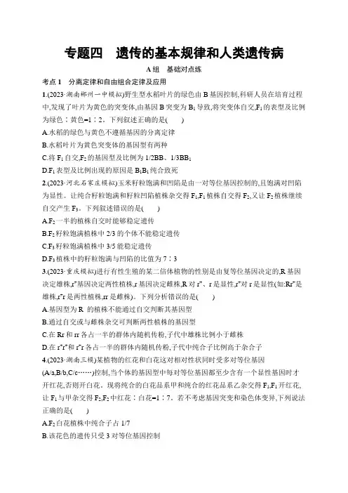 高考二轮复习生物试题(新高考新教材)专题4遗传的基本规律和人类遗传病