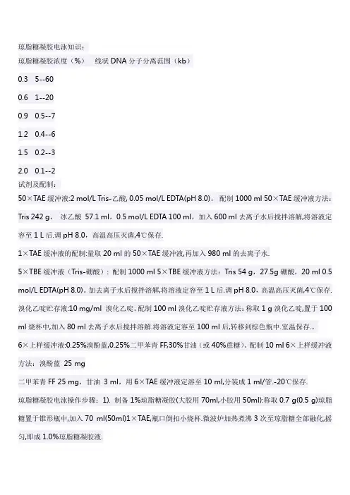 电泳知识