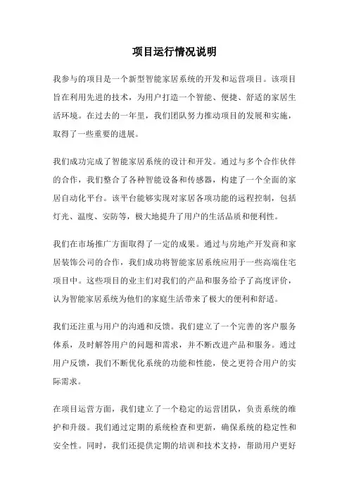 项目运行情况说明