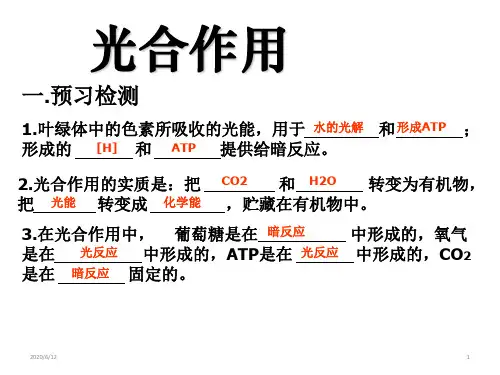 高中生物 一轮复习光合作用与细胞呼吸(共27张PPT)