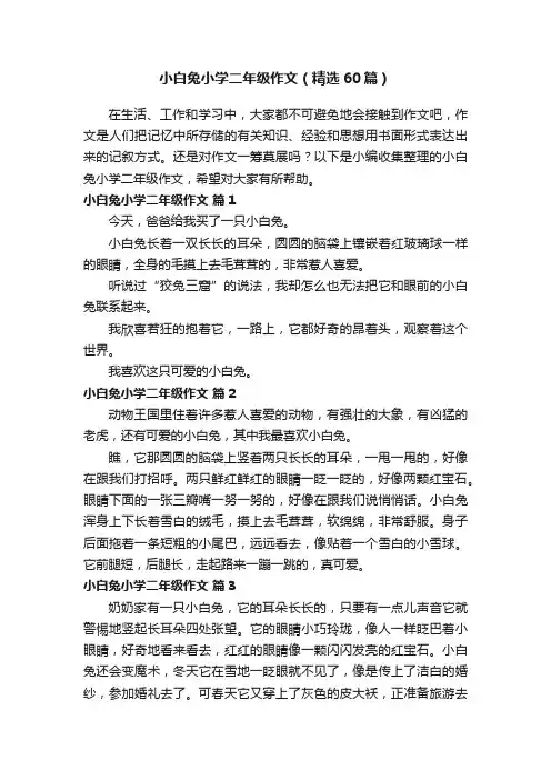 小白兔小学二年级作文（精选60篇）
