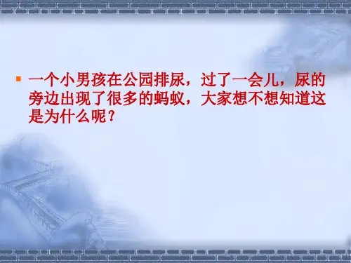 北师大版七下生物 11.2尿的形成与排出 课件   (共21张PPT)