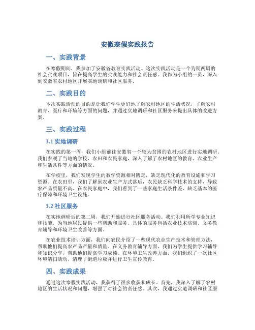 安徽寒假实践报告