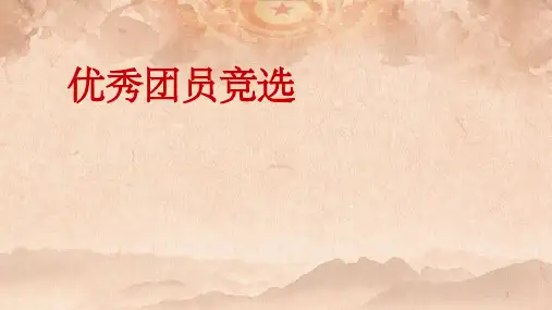 国家安全教育主题团日活动ppt课件